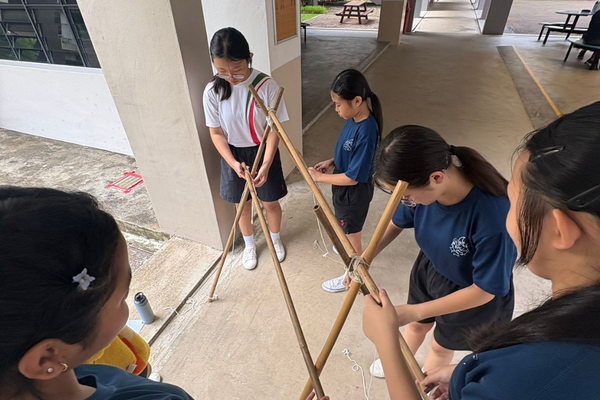 girl guides